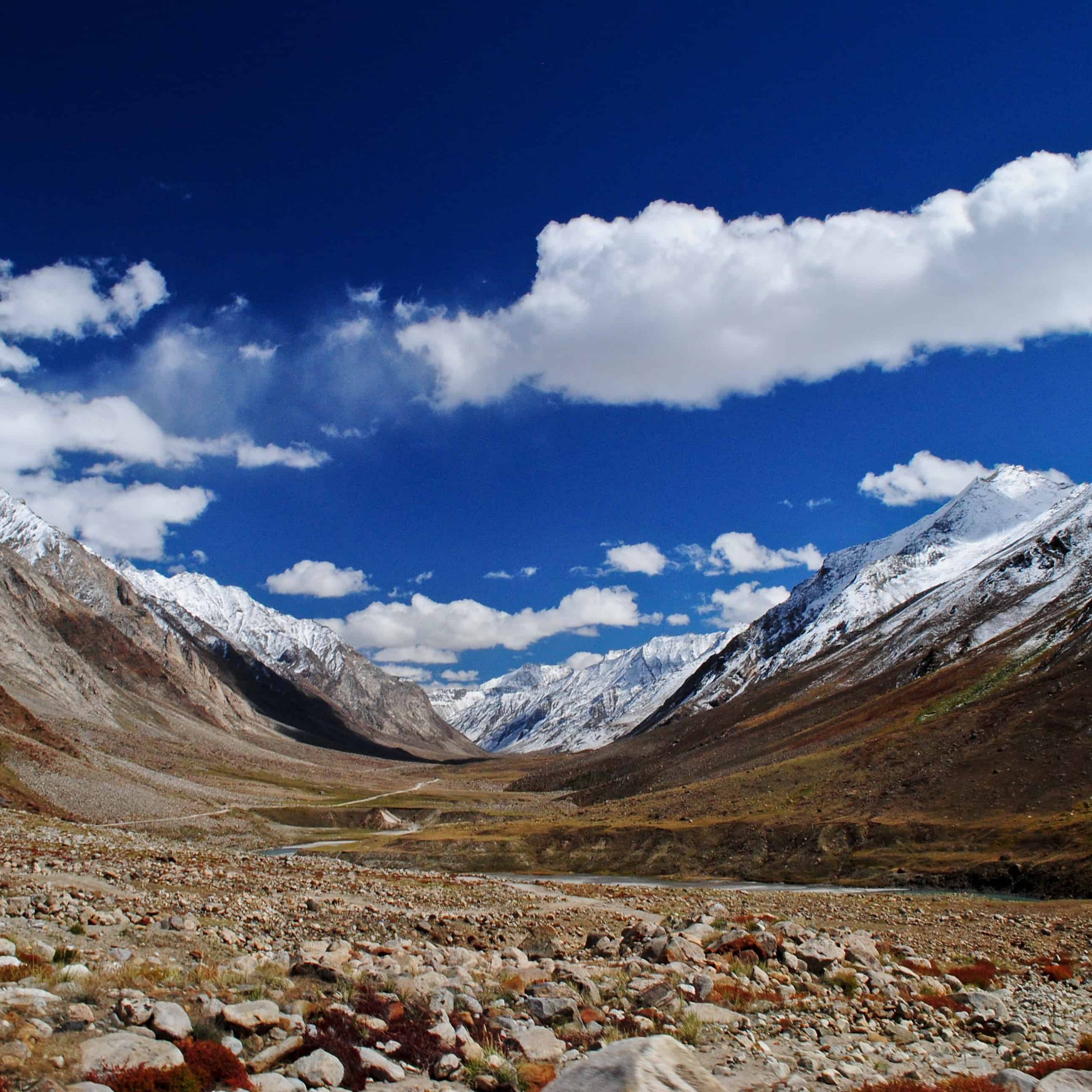 Zanskar-Suru-282-1