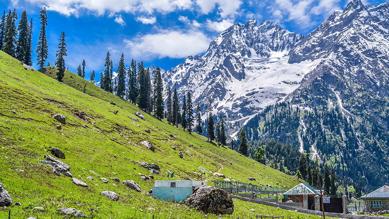 srinagar gulmarg pahalgam tour packages